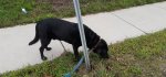20200907_091013.jpg