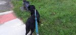 20200907_091053.jpg