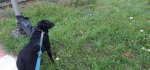 20200907_091056.jpg