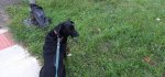 20200907_091134.jpg