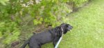 20200907_091524.jpg