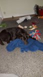 20200910_082027.jpg