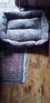 20200910_165613.jpg