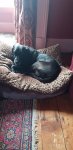 20200910_165720.jpg