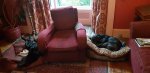 20200910_191704.jpg