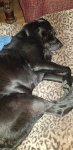 20200910_221951.jpg