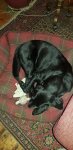20200910_224428.jpg