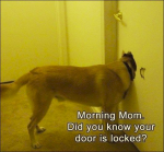 1599979111315.png
