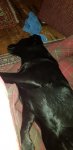20200917_214236.jpg