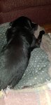 20200917_214225.jpg