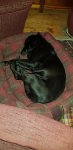 20200919_210834.jpg