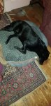 20200919_210804.jpg