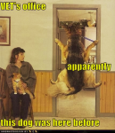 1600838569367.png