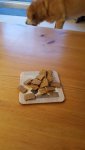 20200923_071410.jpg