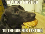 1600925094083.png
