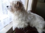 SAM_0357.JPG