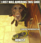 1601097837659.png