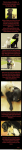 1601097921539.png