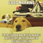 1601183757752.png