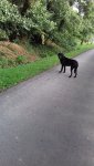 20200927_093255.jpg