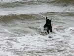 IMG-20200928-WA0051.jpg