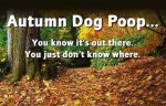 FB_IMG_1601493293722.jpg