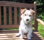 Flynn May 2012 003.JPG Flynn May 2012 003.JPG