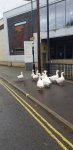 20201008_092334.jpg