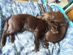 20200906_133803.jpg