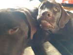 IMG_20200916_090827498.jpg