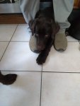 IMG_20200918_104027541.jpg