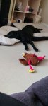 IMG-20201010-WA0001.jpg