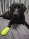 IMG_20201004_222819.jpg