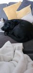 IMG-20200929-WA0012.jpg