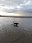IMG_20201004_171303.jpg