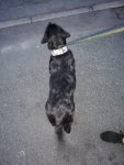 IMG_20201019_073329.jpg