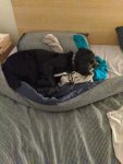 IMG_20200819_203639.jpg