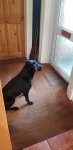 20201025_103218.jpg