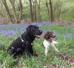 4F6F2847-FF0F-4E25-B568-440E902FD468.jpeg 4F6F2847-FF0F-4E25-B568-440E902FD468.jpeg