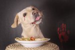 Halloween-Pasta-0265-TopazLabs-edit625.jpg