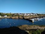 IMG_20201104_161056.jpg