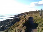 IMG_20201104_162433.jpg