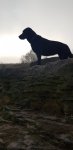 20201106_111805.jpg