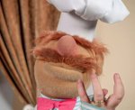 Swedish_Chef_wedding_ring_GagaXmas.jpg
