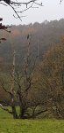 20201107_100004.jpg