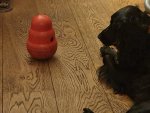 20201107_185311.jpg