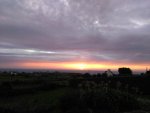 IMG_20201108_174929.jpg