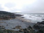 IMG_20201108_120334.jpg