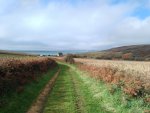 IMG_20201108_131718.jpg