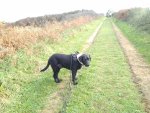IMG_20201108_131728.jpg